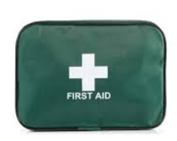 Steroplast First Aid Kit Soft Bag - Green -